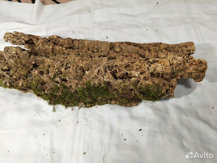 Кора пробкового дерева