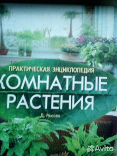 Энциклопедия комнатные цветы