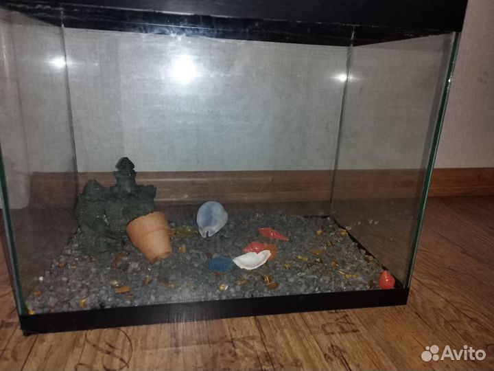 Отдам бесплатно аквариум 20 литрв