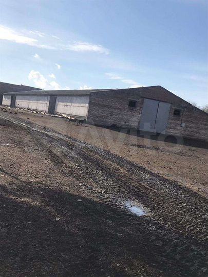 Производство, 5000 м²