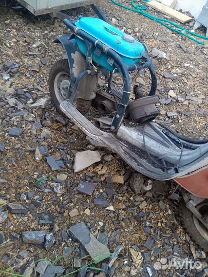 Муравей мотоцикл