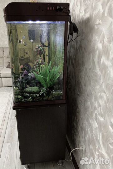 Аквариум б/у, тумбочка будет отдельно