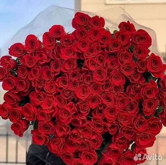 Розы Высокие 150см 160см 170см 180см 190см 2м