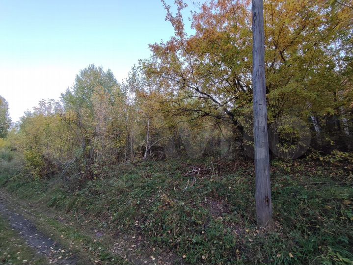 Участок 12 сот. (СНТ, ДНП)