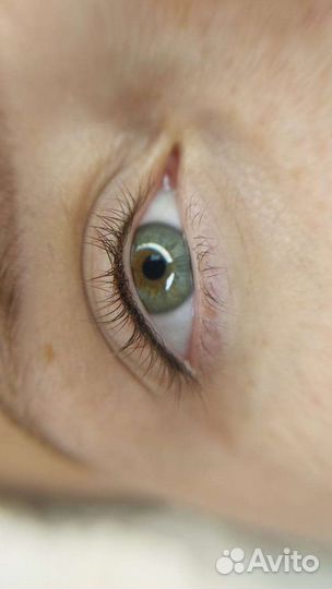 Перманентный макияж/ Пудровое напыление бровей