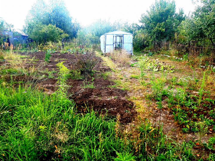 Участок 4 сот. (СНТ, ДНП)