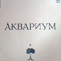 Группа Аквариум, Макеевка