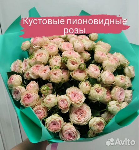 Кустовые пионовидные розы Розовые розы Омск