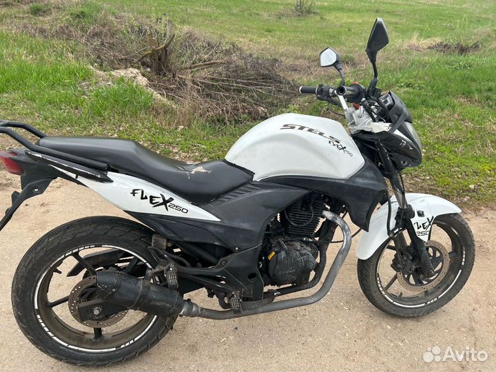 Stels flex 250
