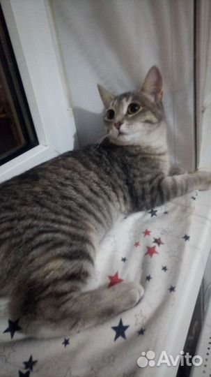 Малышка Тоня