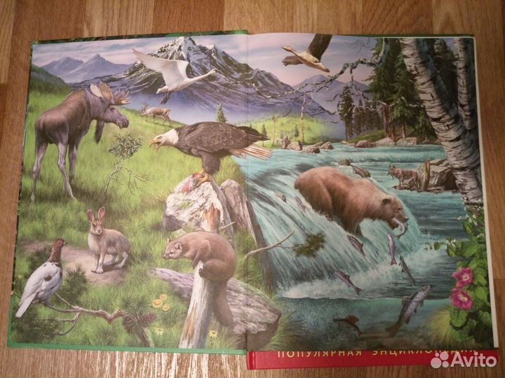 Жизнь животных. (2 книги)