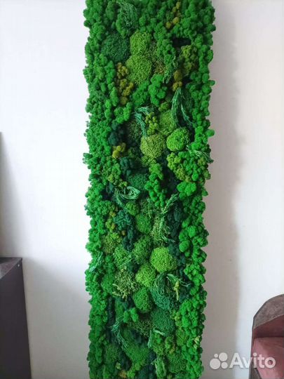 Мох Панели Полоски Панно