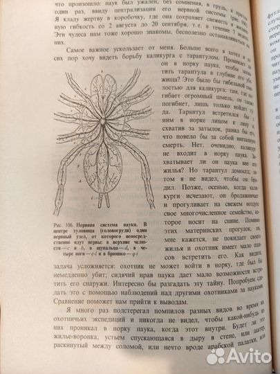 Инстинкт и нравы насекомых