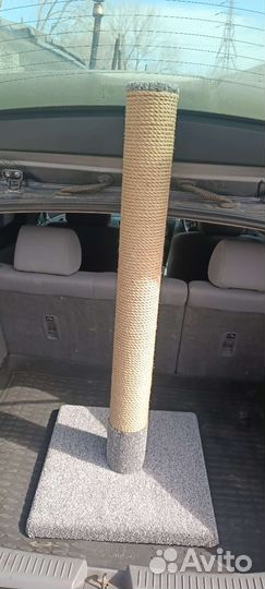 Когтеточка