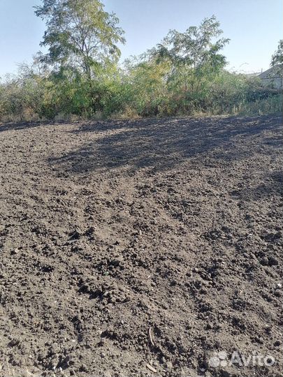 Сад благоустройство