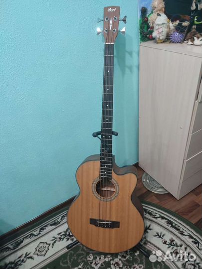 Акустическая бас гитара