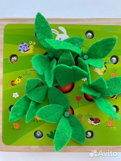 Деревянный сортер морковки, червячки