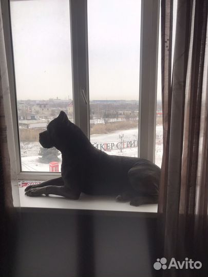 Кабель вязка