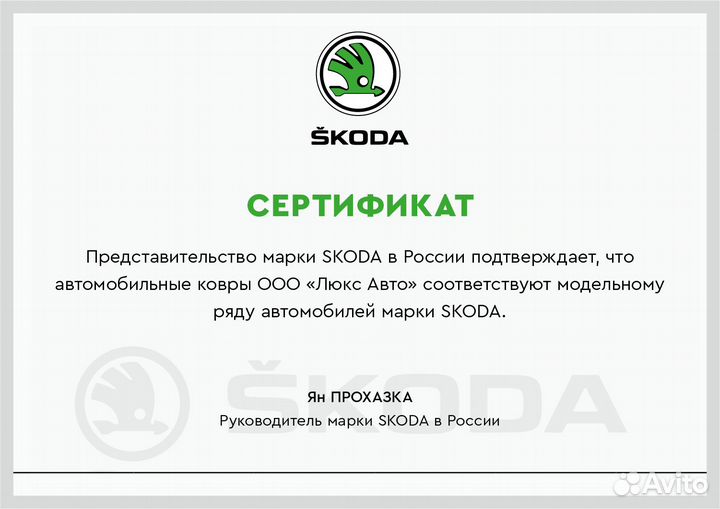 3D Коврики Skoda из Экокожи