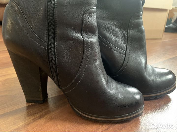 Сапоги демисезонные