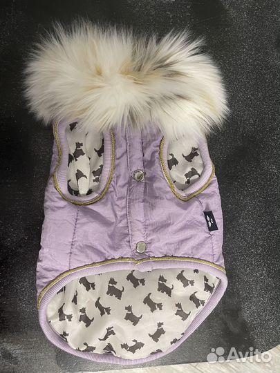 Вещи для маленьких собак