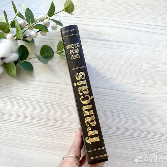 Книга словарь французско-русский