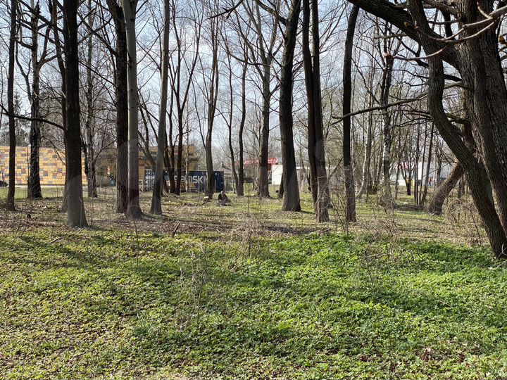 Участок 1399 м² (Латвия)