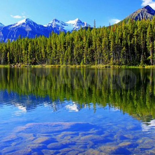 Участок 16 сот. (ИЖС)