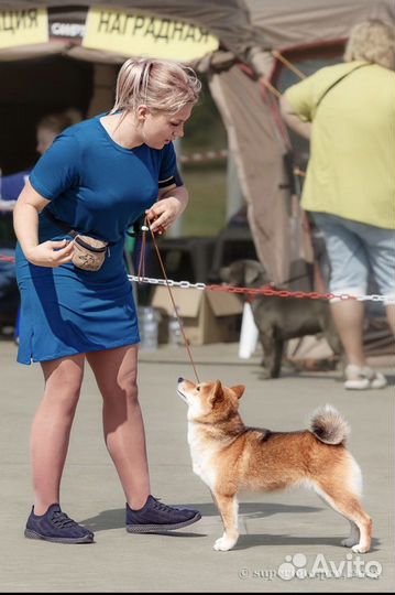 Услуги хендлера