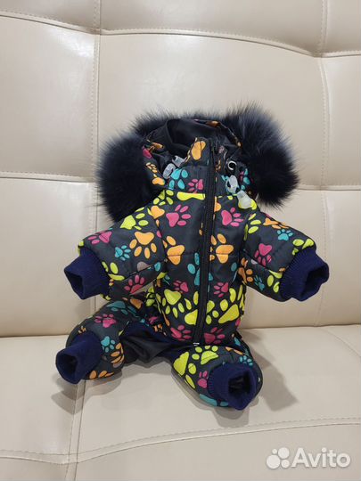 Зимний комбинезон для мини йорка