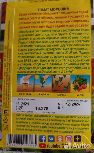 Рассада балконных томатов