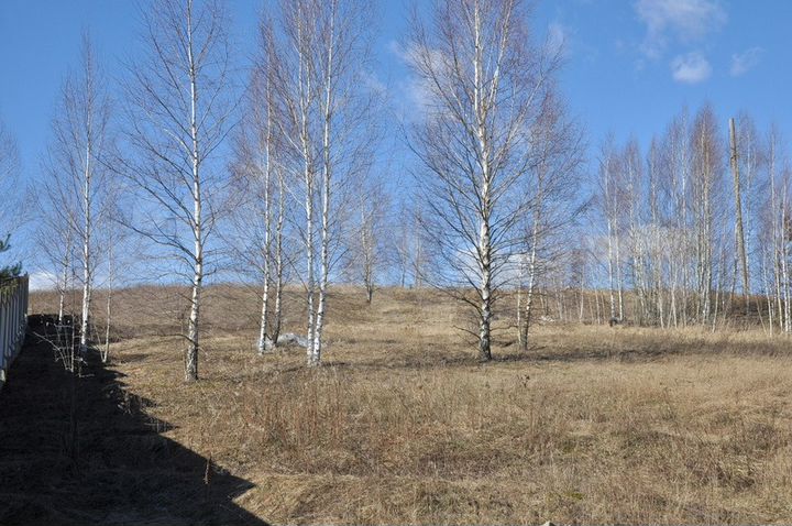 Участок 32 сот. (ИЖС)