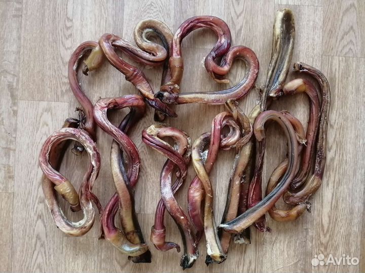 Бычий корень для собак