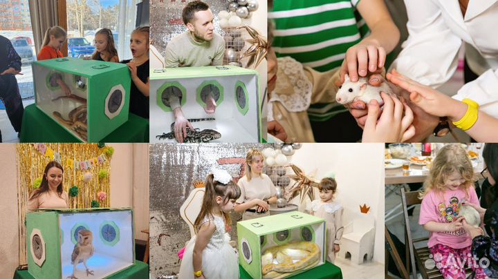 Аниматоры на день рождения,организация