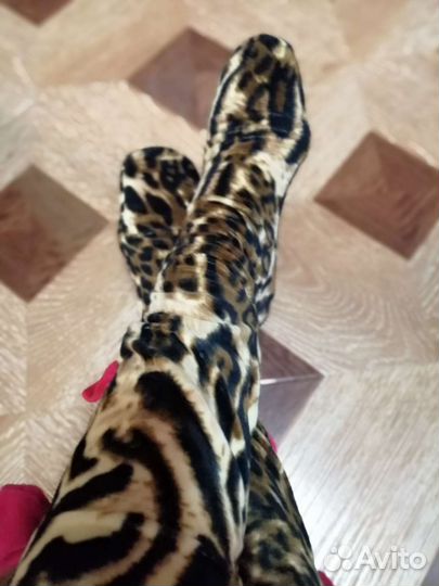 Гетры домашние