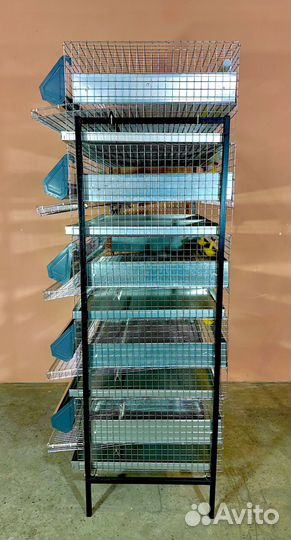 Клетка для перепелов