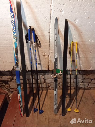 Беговые лыжи