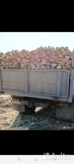 Дрова березовые колотые