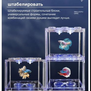 Аквариум для петушка