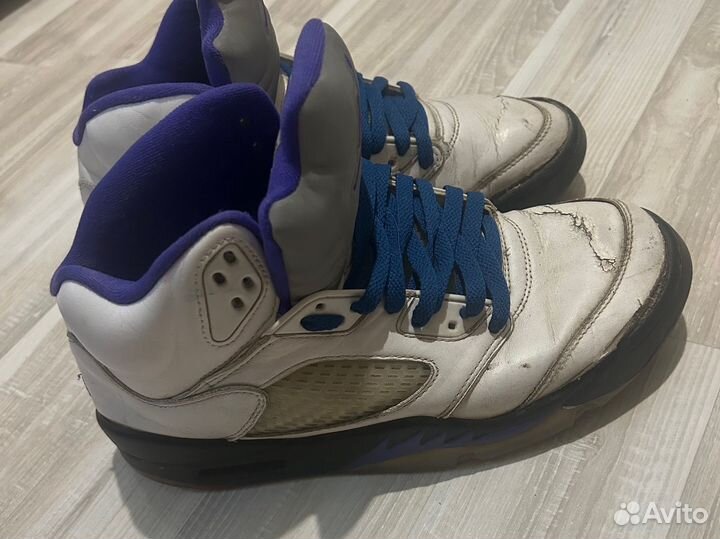 Jordan 5 retro concord