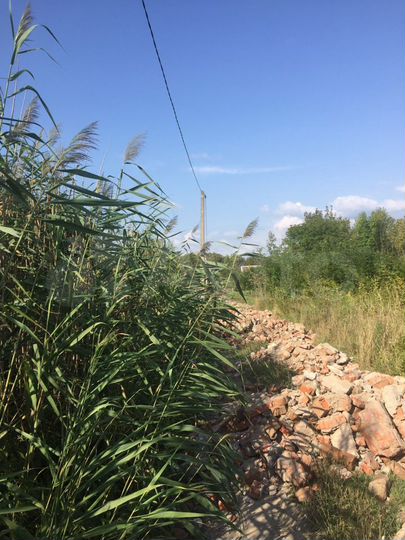 Участок 6 сот. (ИЖС)