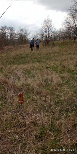 Участок 57 сот. (СНТ, ДНП)