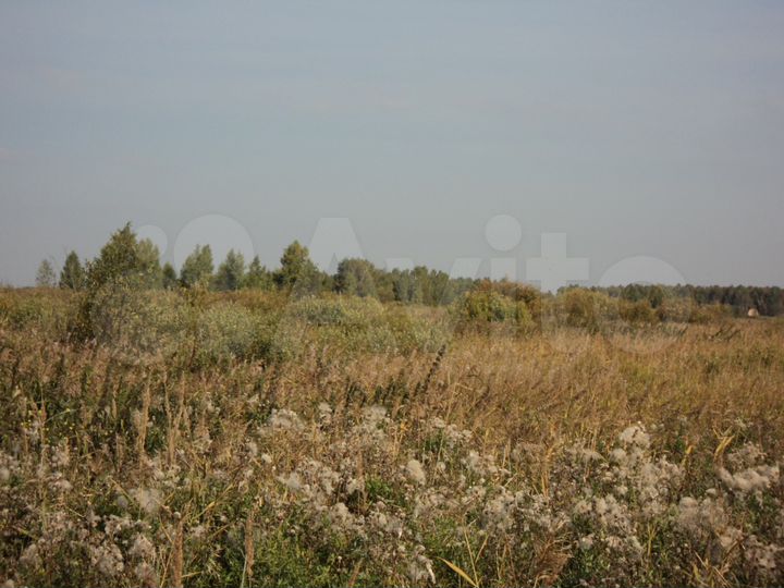 Участок 11 сот. (СНТ, ДНП)