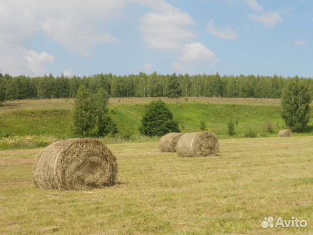 Сено-Солома в Урицком