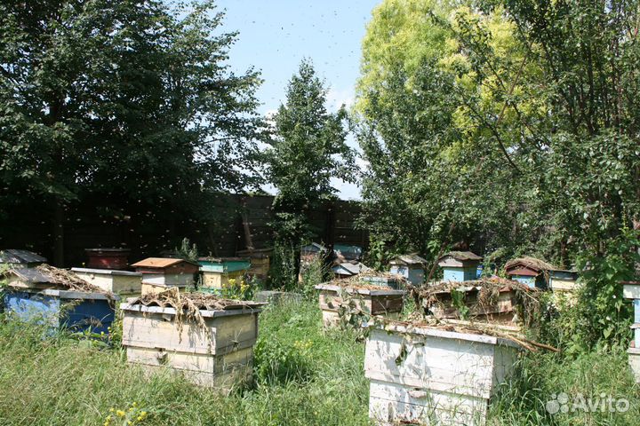 Рамки для ульев