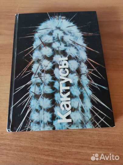 Кактус Ребюция. Гиппеаструм. Аспарагус Мейера