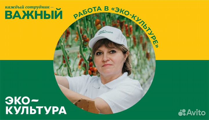 Разнорабочий в тепличный комплекс