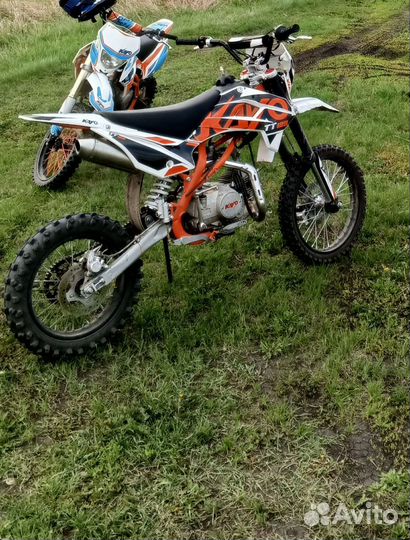 Kayo tt125 basic