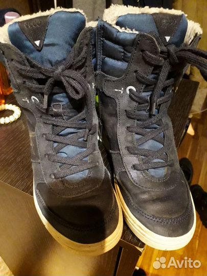 Сапоги Экко