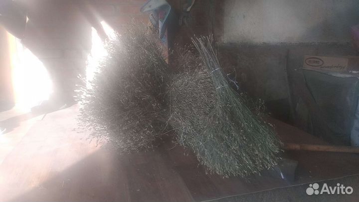 Садовая метла